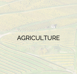 Agriculture