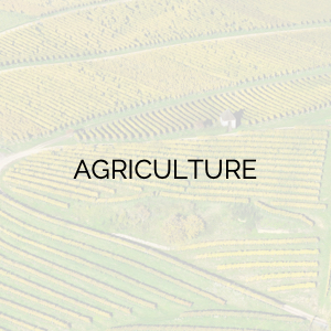 Agriculture