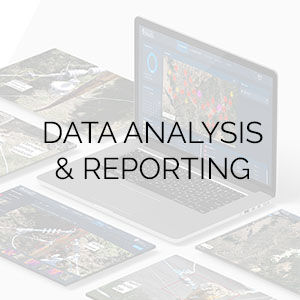 Data Analysis Services