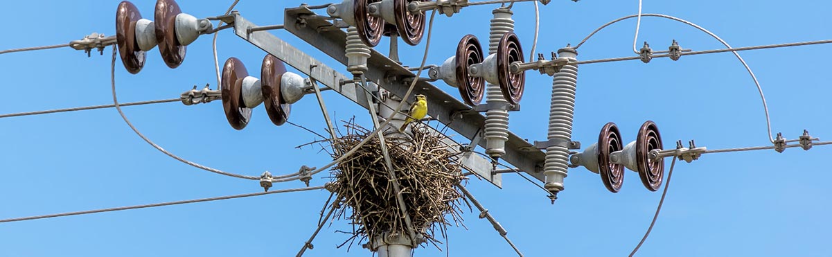 Drone Power Line Inspections