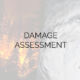 Damage Assessment