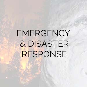 Emergency and Disaster Response