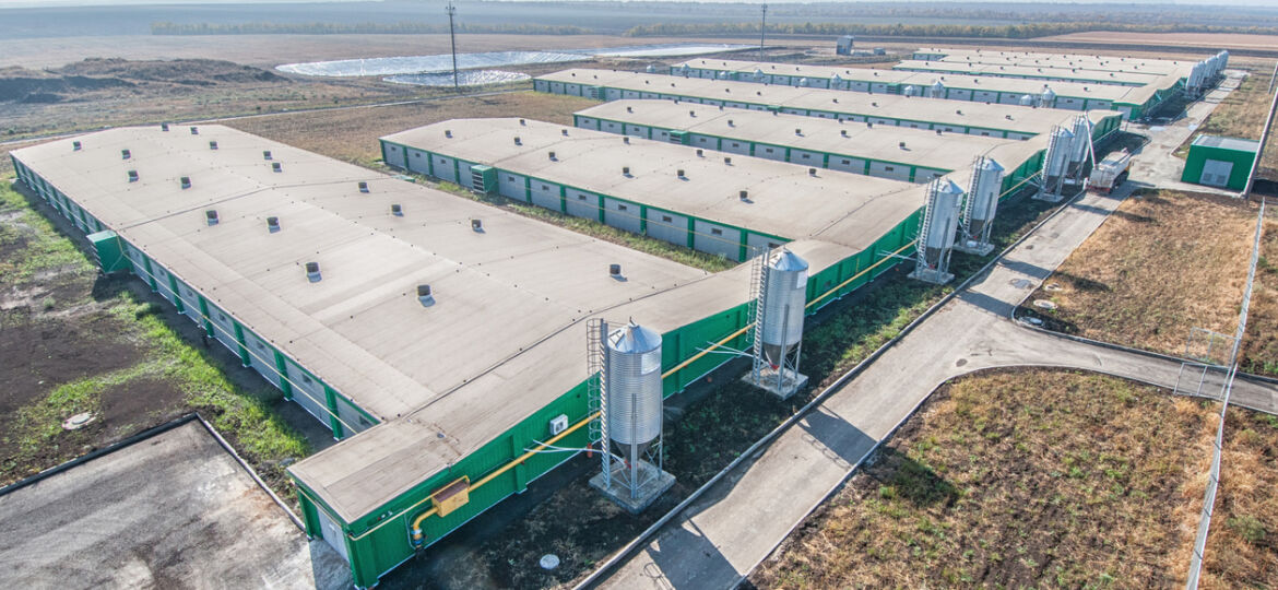 A bird's eye view of commercial buildings lined up in an agricultural land.