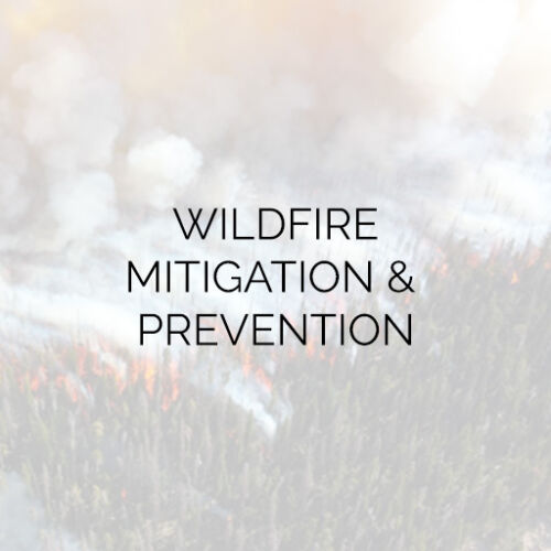 Wildfire Mitigation & Prevention