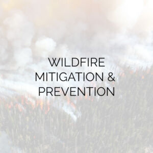 Wildfire Mitigation & Prevention