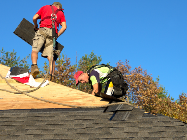 Roofers